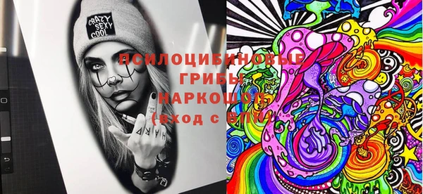 apvp Балахна