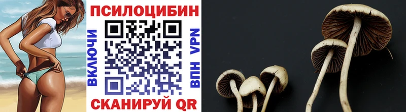Галлюциногенные грибы Magic Shrooms  hydra ССЫЛКА  Энем 